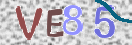 Bitte unten diese Captcha-Zeichen einfügen