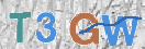 Bitte unten diese Captcha-Zeichen einfügen