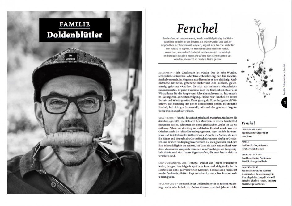Ausführliche Kulturbeschriebe für die wichtigsten Gemüsearten, hier von Fenchel, bilden das Herzstück vom Handbuch Spriessbürger