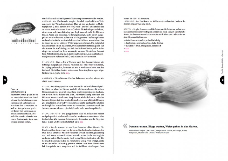 Die wichtigsten Gemüsearten, hier Fenchel, werden auf mindestens 3 Seiten im Spriessbürger behandelt