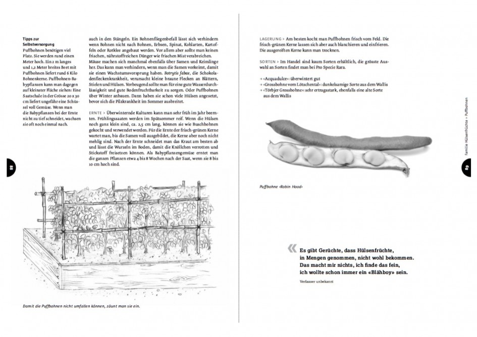 Ausführliche Kulturbeschriebe für die wichtigsten Gemüsearten bilden das Herzstück vom Handbuch Spriessbürger