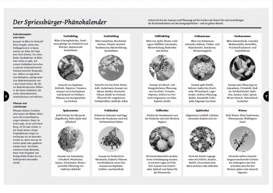 Die Eisheilige sind auch nicht mehr, was sie einmal waren. Der Phänologische Kalender ist zuverlässiger als der Monatskalender, er wird deshalb im Spriessbürger verwendet