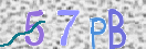 Bitte unten diese Captcha-Zeichen einfügen