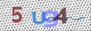 Bitte unten diese Captcha-Zeichen einfügen